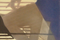 Malgorzata Kugler Schatten