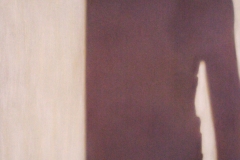 Malgorzata Kugler Schatten