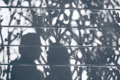 Malgorzata Kugler Schatten