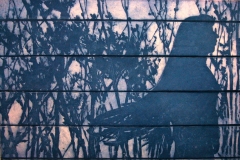 Malgorzata Kugler Schatten