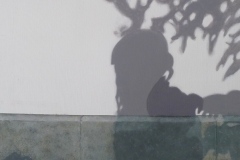 Malgorzata Kugler Schatten